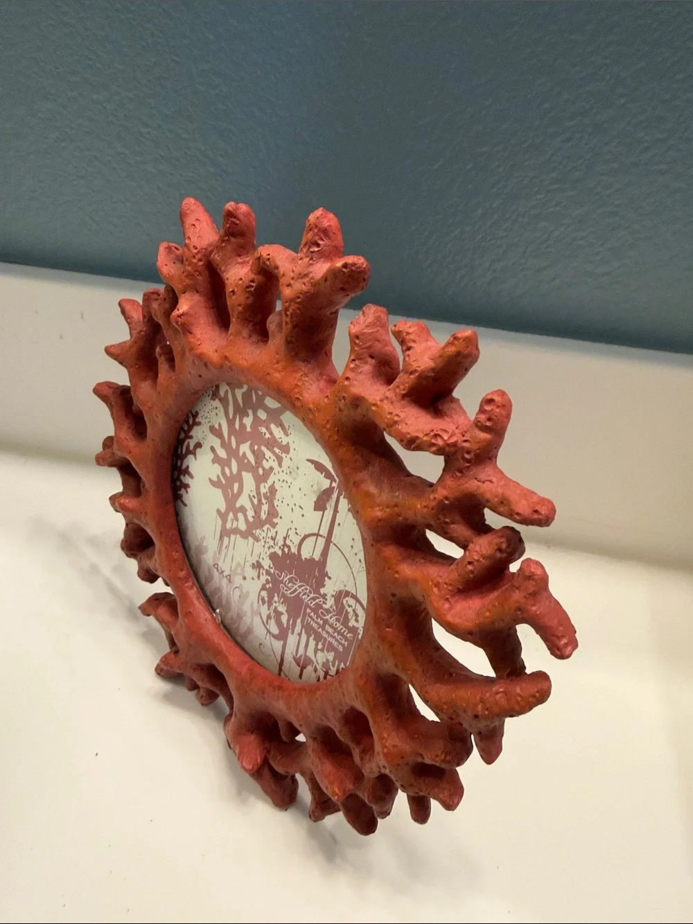 Sheffield Home decorative coral
